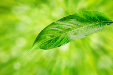 Similar image 8587673