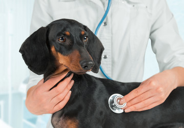 Similar image 8587682