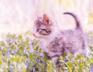 Similar image 8587858