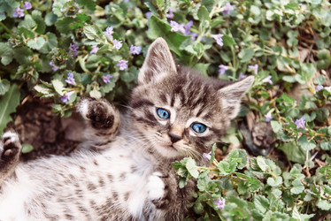 Similar image 8587880