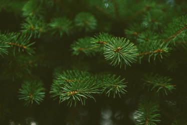 Similar image 8588791