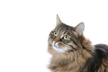 Similar image 8588832