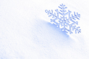 Similar image 8588883