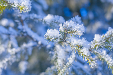 Similar image 8588886