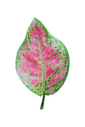 Similar image 8588889