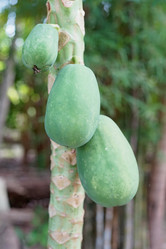 Similar image 8588905