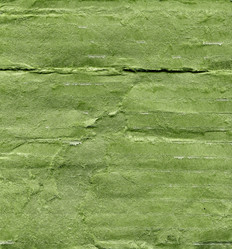 Similar image 8588980