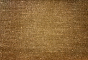 Similar image 8588985