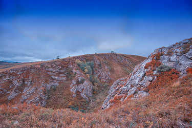 Similar image 8589014