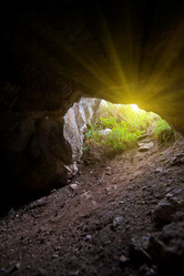 Similar image 8589016