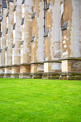 Similar image 8589093