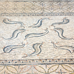 Similar image 8589099