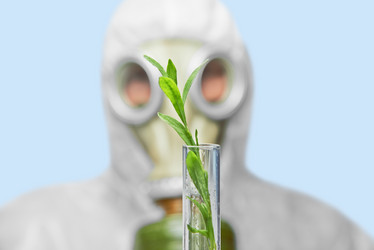 Similar image 8589343