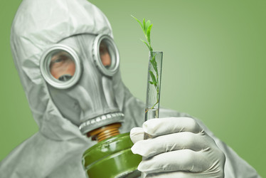 Similar image 8589346