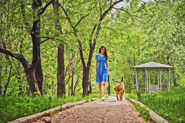 Similar image 8589389