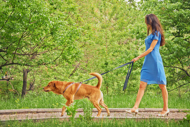 Similar image 8589390