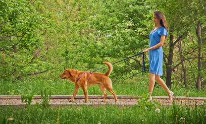 Similar image 8589391