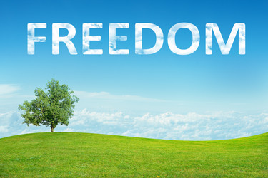 Similar image 8589504