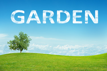 Similar image 8589505