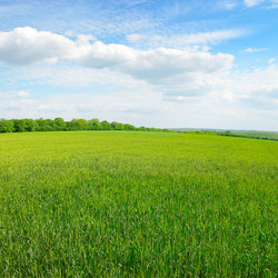 Similar image 8589636