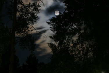 Similar image 8594424