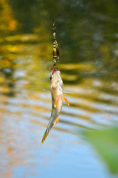 Similar image 8594778