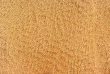 Similar image 8595465