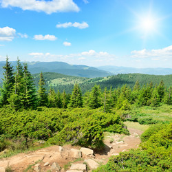 Similar image 8595468