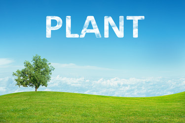 Similar image 8596566