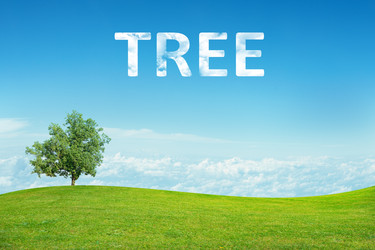 Similar image 8596584