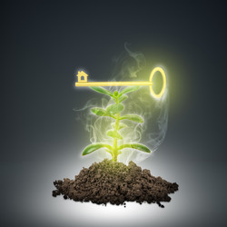 Similar image 8596595