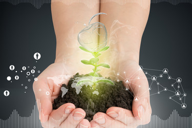 Similar image 8596736