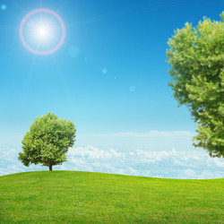 Similar image 8597201