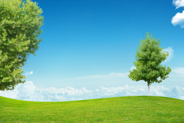 Similar image 8597207