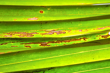 Similar image 8597707