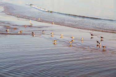 Similar image 8600924