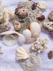 Similar image 8603485