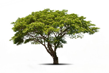 Similar image 8635872