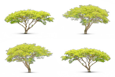 Similar image 8635878