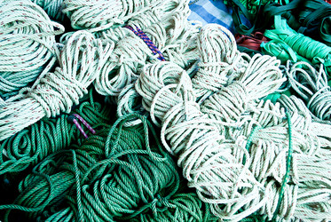 Similar image 8635882