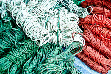 Similar image 8635884