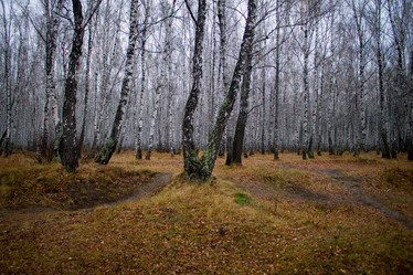 Similar image 8636031