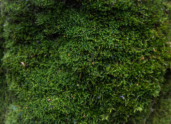 Similar image 8636033