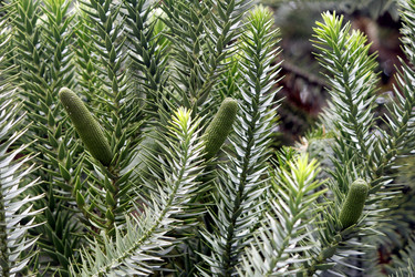 Similar image 8636040