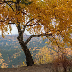 Similar image 8636047