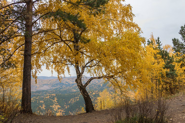 Similar image 8636050