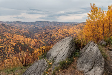 Similar image 8636052