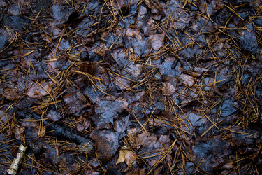 Similar image 8636078