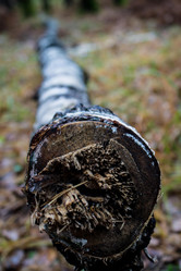 Similar image 8636080