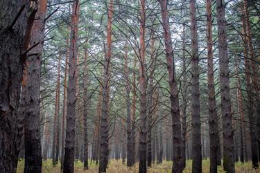 Similar image 8636082